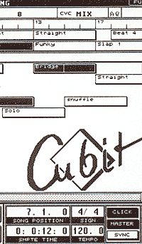 Steinberg Cubit